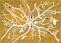 Larger image in new window. Fig. 1: Tim Leura Tjapaltjarri, Yam Spirit Tjukurrpa, 1972, Holz, 54 x 70 cm, printed in: Bardon, Geoffrey: Papunya Tula. Art of the Western Desert, McPhee Gribble, Melbourne 1991, p. 120